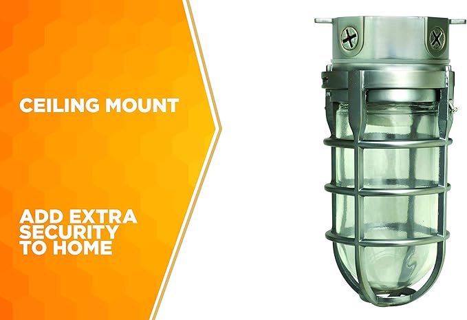 Woods L1706 Vandal Resistant Security Light With Ceiling Mount (150W Incandescent Bulb; Silver)