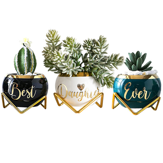 Daughter Gifts from Mom, Birthday Gift for Daughter, Mother Daughter Gifts, Happy Birthday Daughter, Best Daughter Ever Gift, Daughter In Law Gifts, Birthday Gifts for Daughter Adult, 3 Succulent Pots