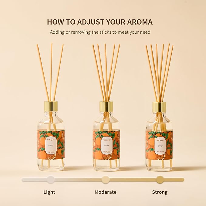Airkeep Reed Diffuser Oil Set with Reed Sticks, Ocean Mist Aromatherapy Oil Scent Diffuser for Home Office Bathroom Decoration Perfume and Gifts 3.38 oz/100ml