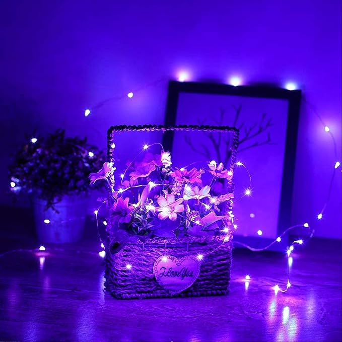RUICHEN 20 Ft 120 LED USB Fairy String Lights with On/Off Switch, Waterproof Copper Wire Lights for Bedroom Wall Ceiling Wreath Crafts Christmas Halloween Party, Purple