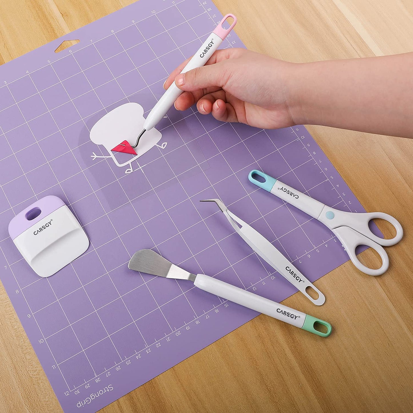 CAREGY Craft Vinyl Weeding Tools Set, Precision Craft Tools Kit, Weeding Kits for Cricut/Silhouette/Siser/Oracal 631/651/751 Vinyl