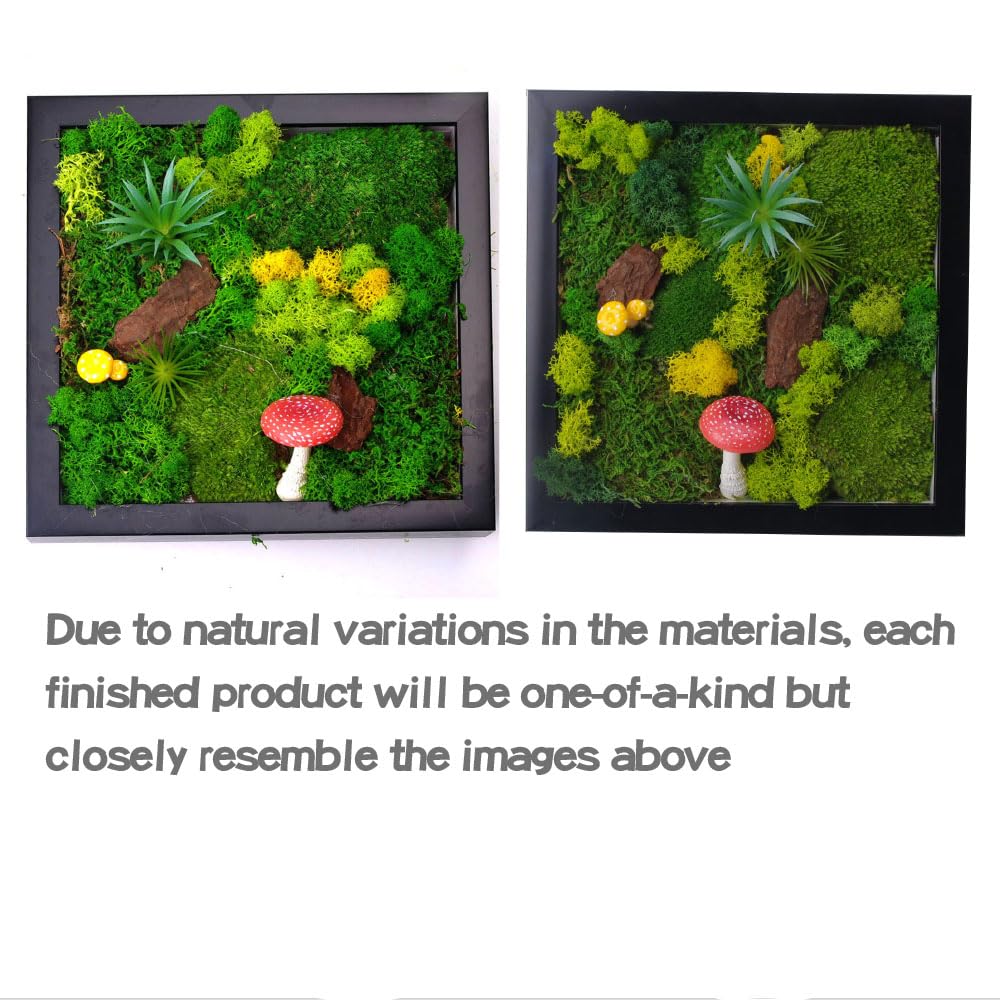 ACADOIT Moss ArtsFrame Crafts for Adults, 11" Home Office Decor Living Wall Hanging Decor"