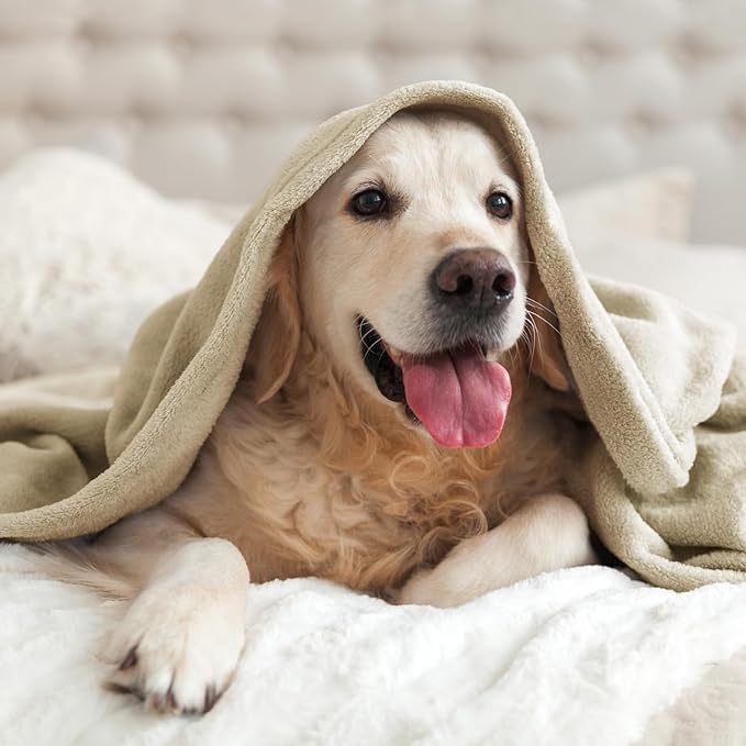 BEDELITE Fleece Blanket King Size Blankets for Bed, Luxury Plush Cozy Fuzzy Blanket 108x90 inches, Super Soft Warm Lightweight Throw Blanket All Seasons Suitable, Linen