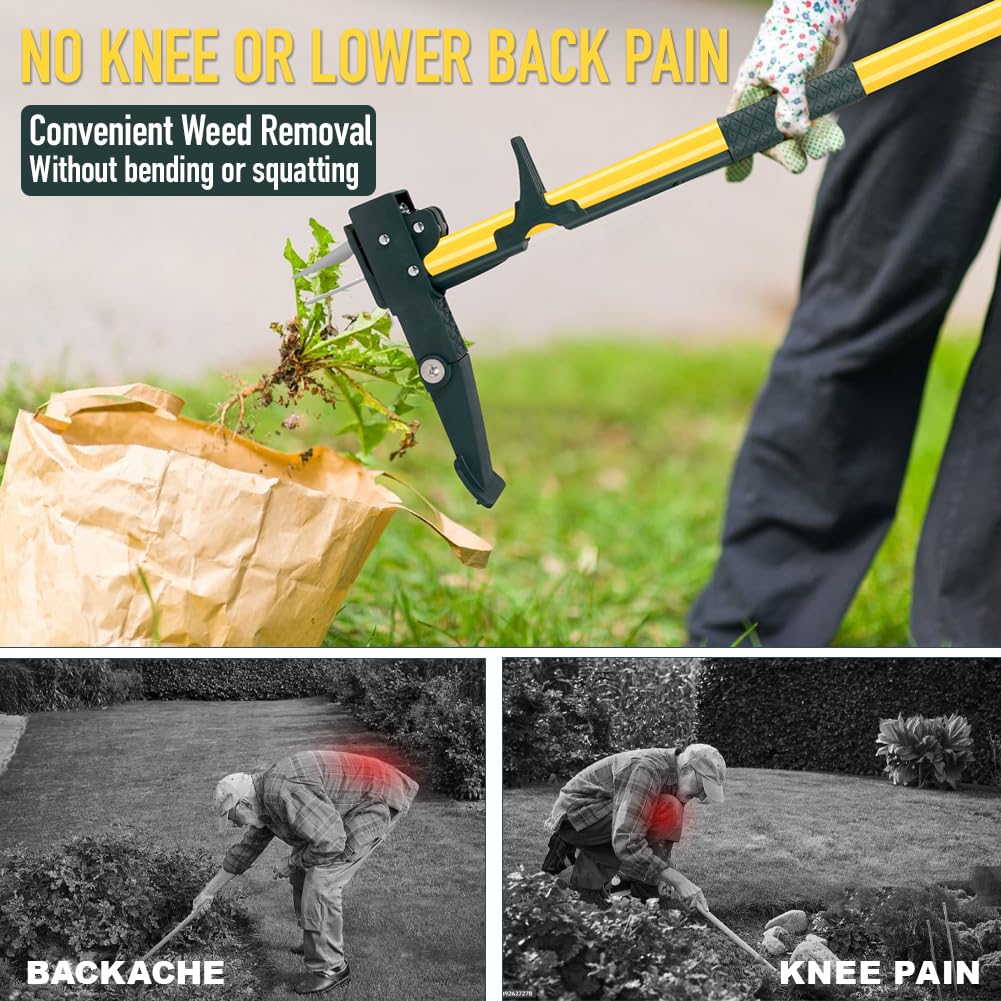 Weed Puller Tool, 50IN Long Handle 4 Claws Stand Up Weeding Tool, Extra Thickened Stainless Steel Shaft Garden Weeder,Remove the Roots of Thistles, Crabgrass, Dandelions, and Blackberries, etc.