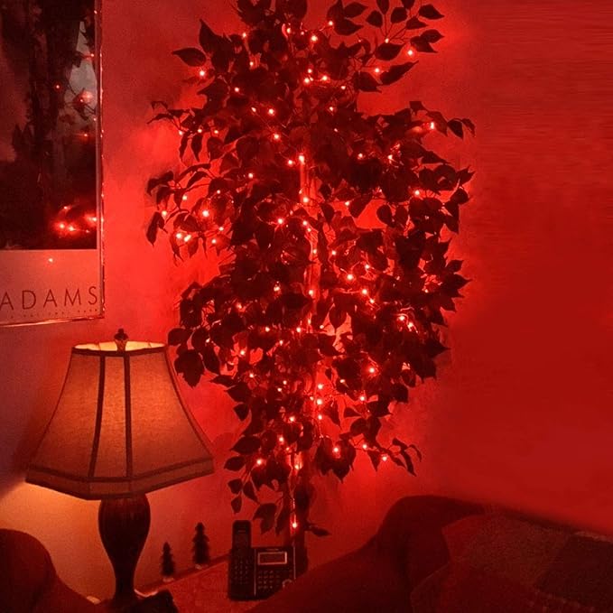 RUICHEN Plug in Fairy String Lights with Switch, Waterproof 66 Ft 200 LED Copper Wire Firefly Lights for Christmas, Parties, Wedding, Ceiling, Craft, Vases, Red
