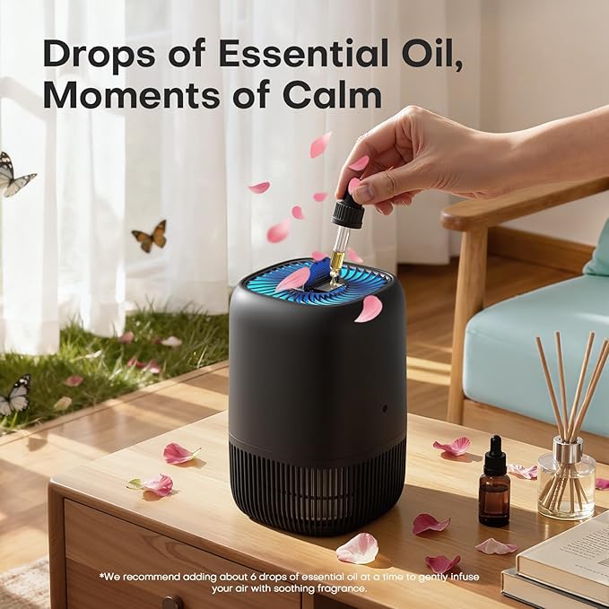 2 Packs of Air Purifiers for Home Bedroom, H13 Quiet HEPA Filter for Dust Pollen Smoke Odors, with Fragrance Sponge Night Light Vital Breeze Timer 22dB, Office Desktop Small Room, DH-JH12 Black