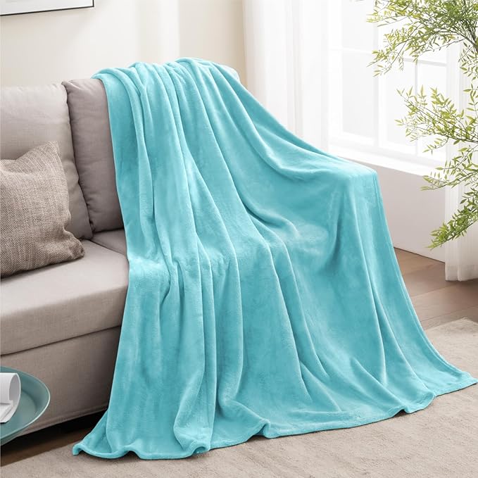 BEDELITE Fleece Blanket Twin Size Light Blue Throw Blankets for Couch & Bed, Luxury Plush Cozy Fuzzy Blanket 60x80 inches, Super Soft Warm Lightweight Throw Blanket for Travel Camping