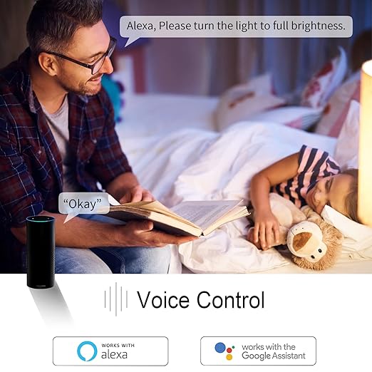 New One 2 Pack 2.4G WiFi Dimmable Smart Plug, Smart Outlet, Dimmer Plug, Alexa, Google Assistant, No Hub Required