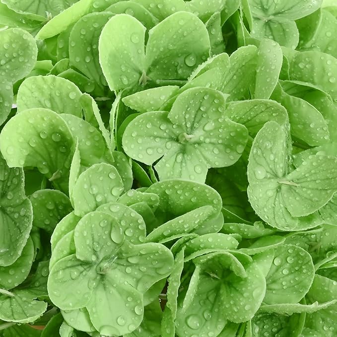 4 Pcs Real Touch Hydrangea Artificial Flowers, 21" Light Green & Dark Green Full Faux Hydrangea Flowers Latex Fake Flowers for Home Decor Party Floral Arrangements Wedding Bouquets Outdoor Decor