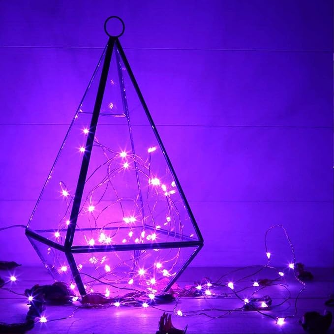 RUICHEN 20 Ft 120 LED USB Fairy String Lights with On/Off Switch, Waterproof Copper Wire Lights for Bedroom Wall Ceiling Wreath Crafts Christmas Halloween Party, Purple