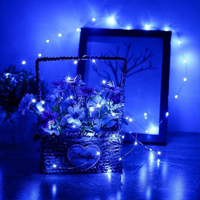 RUICHEN 20 Ft 120 LED USB Fairy String Lights with On/Off Switch, Waterproof Copper Wire Lights for Bedroom Wall Ceiling Wreath Crafts Christmas Easter Wedding Party, Blue