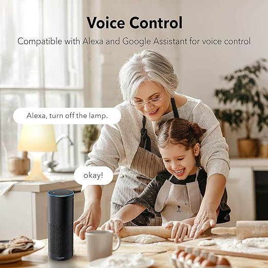 BN-LINK Smart Electrical Outlet with 2 Controlled Plugs and Type-C Charging, in-Wall Smart Wi-Fi Outlet with Voice and APP Remote Control, Compatible with Alexa and Google Assistant, 2.4GHz Wi-Fi Only