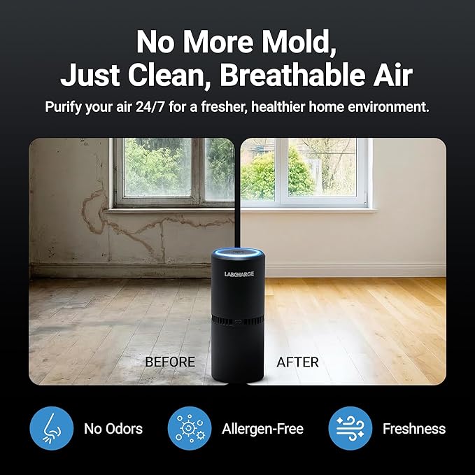 LabCharge Small Ionic Air Purifier for Home & Bedroom – Silent HEPA Filter – Covers 250 Sq Ft - Free Cleaner for Pets, Hair, Smoke, Dust, Odors & Dander – Compact & Black Design - Pack of 2