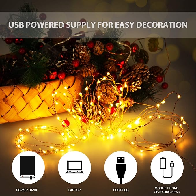 USB LED Fairy String Light, 1 Pack Copper Wire Fairy Lights for Indoor, Bedroom Festival Christmas Wedding Party Patio Decorative Window with USB Interface (33ft./10M,Warm White)