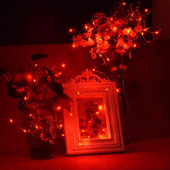 RUICHEN 20 Ft 120 LED USB Fairy String Lights with On/Off Switch, Waterproof Copper Wire Lights for Bedroom Wall Ceiling Wreath Crafts Christmas Party Mother's Day, Red, 2 Pack