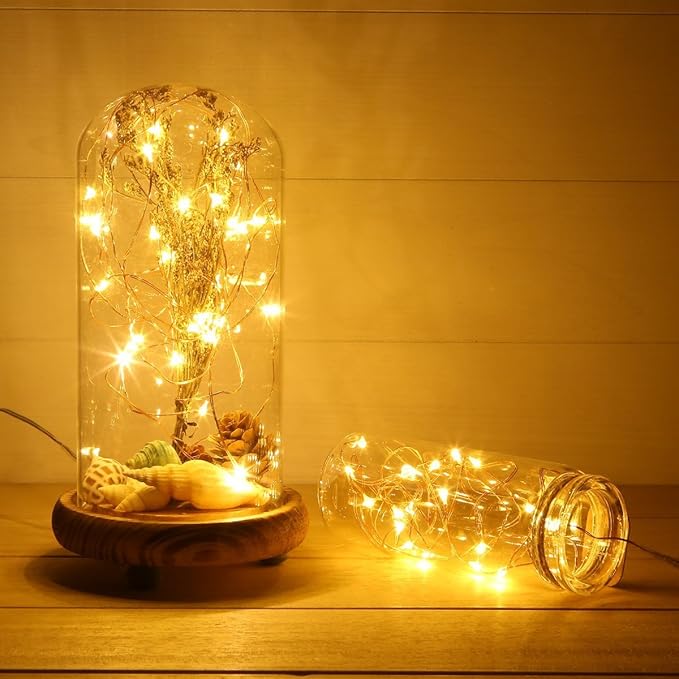 ANJAYLIA 16.5Ft 50 LED Fairy Lights Battery Operated String Lights for Party Home Wedding Festival Decoration, Warm White