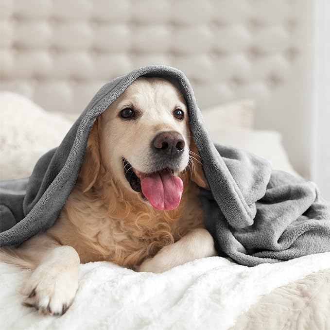 BEDELITE Fleece Blanket Twin Size Grey Throw Blanket for Couch & Bed, Luxury Plush Cozy Fuzzy Blanket 60x80 inches, Super Soft Warm Lightweight Throw Blanket for Travel Camping