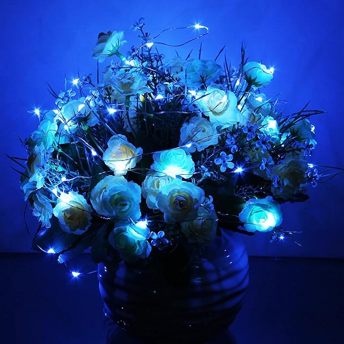 RUICHEN 20 Ft 120 LED USB Fairy String Lights with On/Off Switch, Waterproof Copper Wire Lights for Bedroom Wall Ceiling Wreath Crafts Christmas Easter Wedding Party, Blue