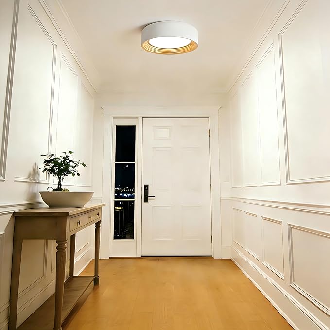 Dimmable Modern LED Flush Mount Ceiling Light,11.8 Inch 5CCT 24W/3000K-6000K,Minimalist Round White and Gold Close to Ceiling Lighting Fixtures for Kitchen,Hallway,Laundry Room,Entryway,Porch