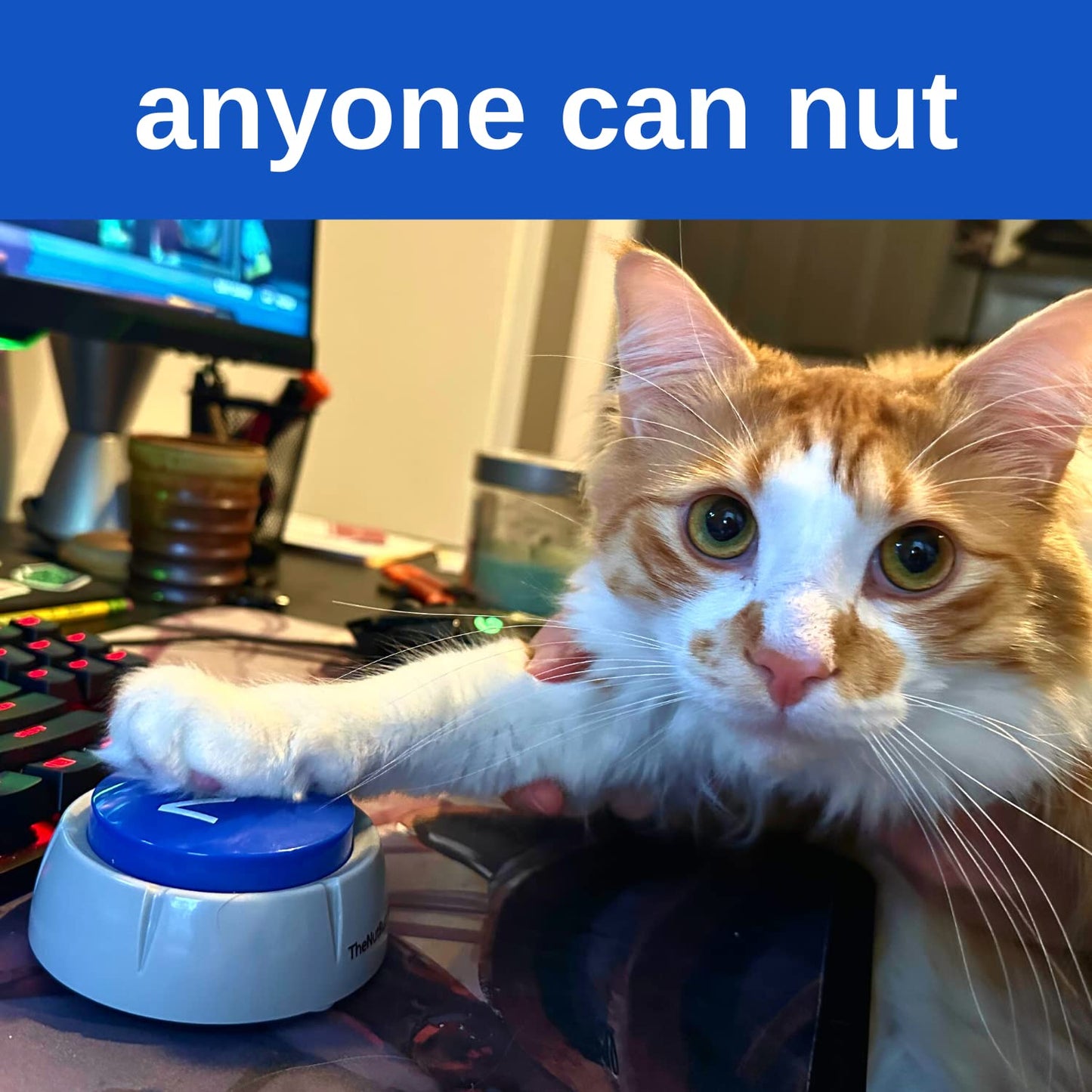 The Nut Button Toy - When Memes Become Reality | Meme Gag Gift for him Boyfriend Husband Friend | Hilarious Funny Prank Buzzer for Holiday & Christmas | Silly Easy to use | Press Button That says NUT