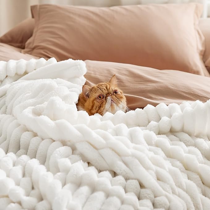 Bedsure GentleSoft White Throw Blanket for Couch - Cozy Blanket for Women, Cute Fleece Throw for Girls, Christmas Birthday Gifts for Women Men Teen, Room Home Boho Fall Decor, Off White, 50x60 Inches