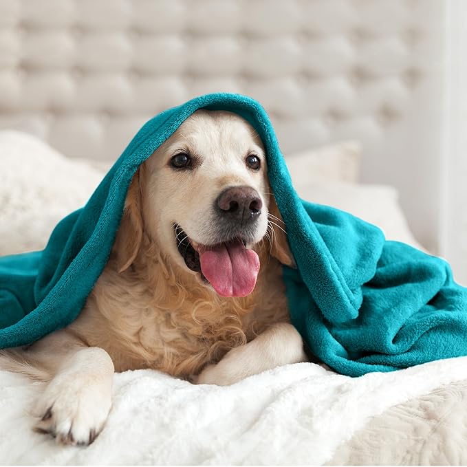 BEDELITE Fleece Blankets Queen Size Bluebird Throw Blankets for Bed, Luxury Plush Cozy Fuzzy Blanket 90x90 inches, Super Soft Warm Lightweight Throw Blanket All Seasons Suitable