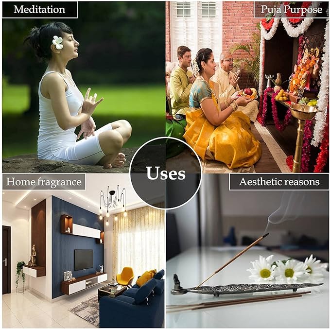 HEM Musk Backflow Brown Incense Cones | Long Lasting Aroma for Positivity & Pure Air | Wood Powder | Aromatherapy for Stress Relief, Air Purifier & Cleansing | Gift Set - Pack of 40 Cones