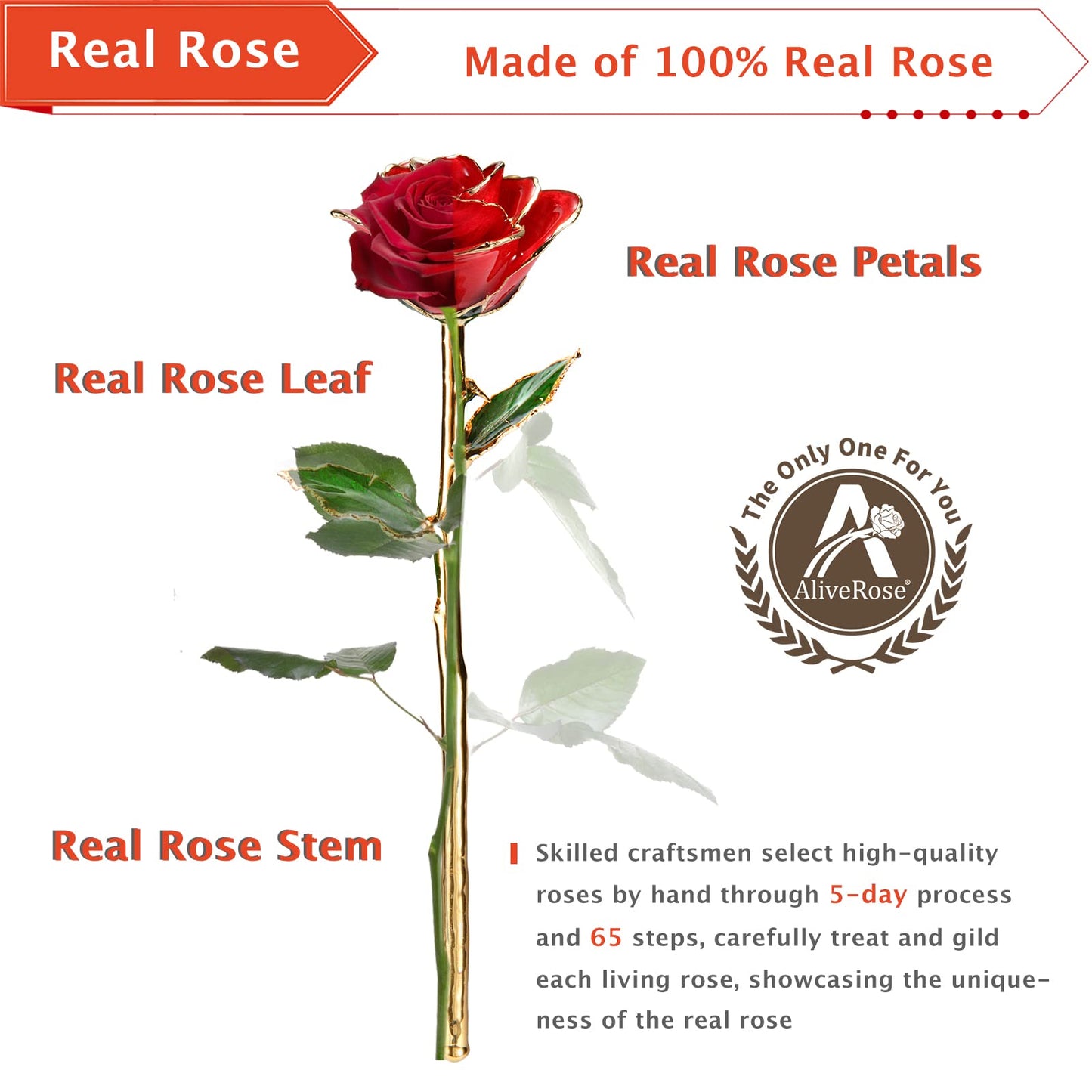AliveRose 24k Gold Rose, Golden Rose Made from Real Rose - Unique Design Dipped Rose for Anniversary Valentines Mothers Day Birthday Gifts (Golden Rose with Stand)