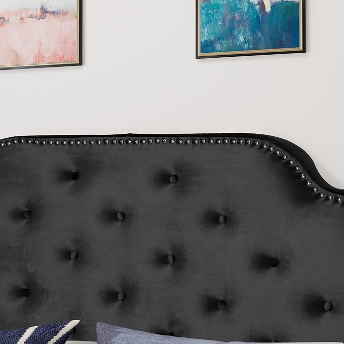 Christopher Knight Home Silas Velvet Headboard, Queen / Full, Black / Black