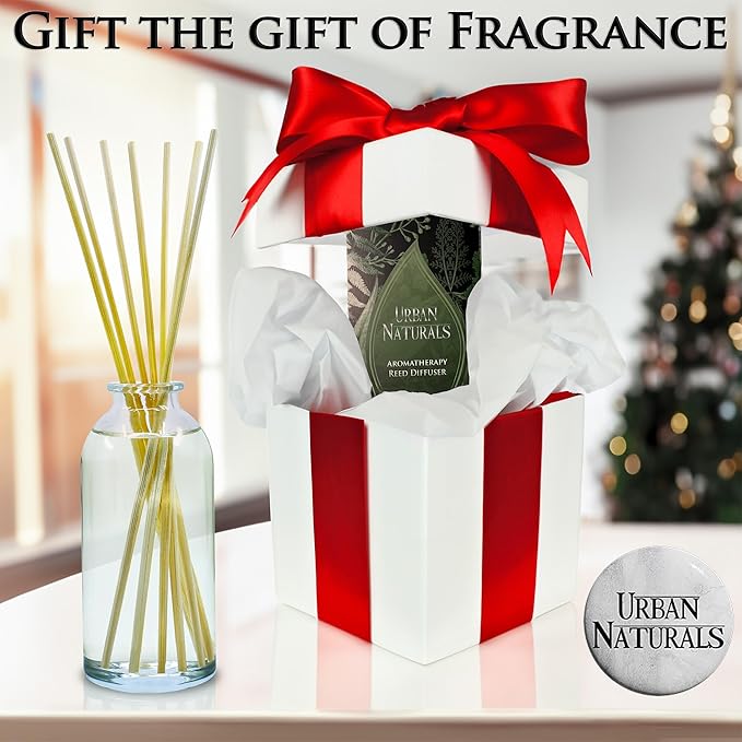 Urban Naturals Winter Birch Reed Diffuser Oil Gift Set | Birch Wood & Balsam Scented Oil with Bamboo Reed Sticks | Great Holiday Home Fragrance Air Freshener for the Living Room