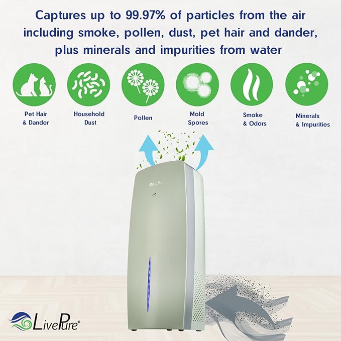 LivePure True HEPA Air Purifier & Humidifier, Sage