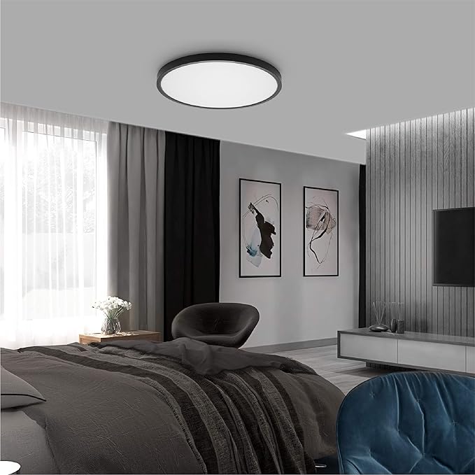 TALOYA LED Ceiling Light Office Black,5 Color Temperatures,15.8 Inch Thin Flat Modern Flush Mount LED Light Fixture for Living Room,24w Round