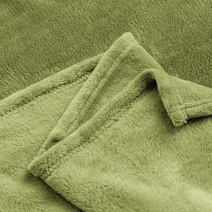 BEDELITE Fleece Blanket Twin Size Sage Green Throw Blanket for Couch & Bed, Luxury Plush Cozy Fuzzy Blanket 60x80 inches, Super Soft Warm Lightweight Throw Blanket for Travel Camping