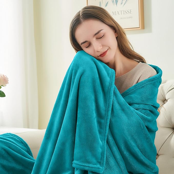 BEDELITE Fleece Blankets Queen Size Bluebird Throw Blankets for Bed, Luxury Plush Cozy Fuzzy Blanket 90x90 inches, Super Soft Warm Lightweight Throw Blanket All Seasons Suitable
