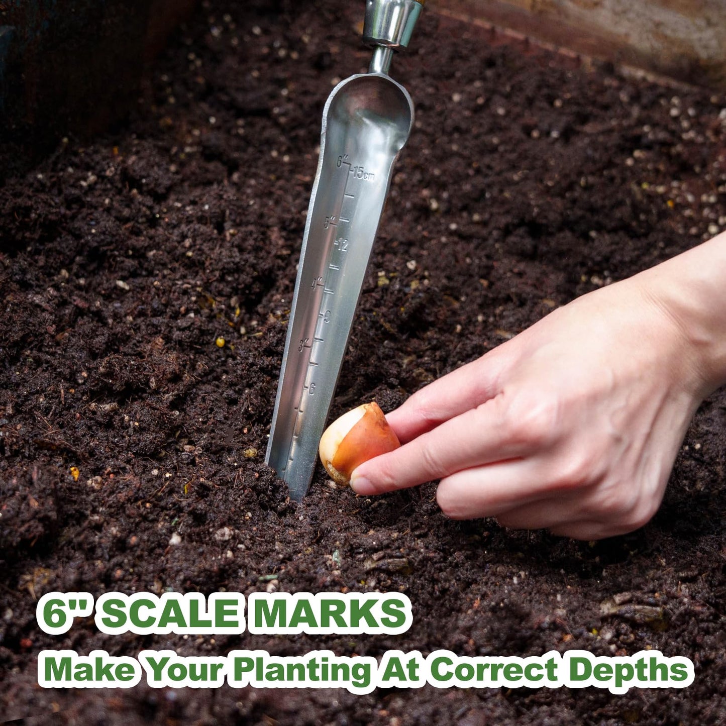 Haliaeetus Seeding Widger with 6'' Scale, Stainless Steel Planting Trowel for Repotting, Long and Narrow Widger for Weeding from Tight Areas, Hand Transplanter with Wood Handle for Planting, Digging