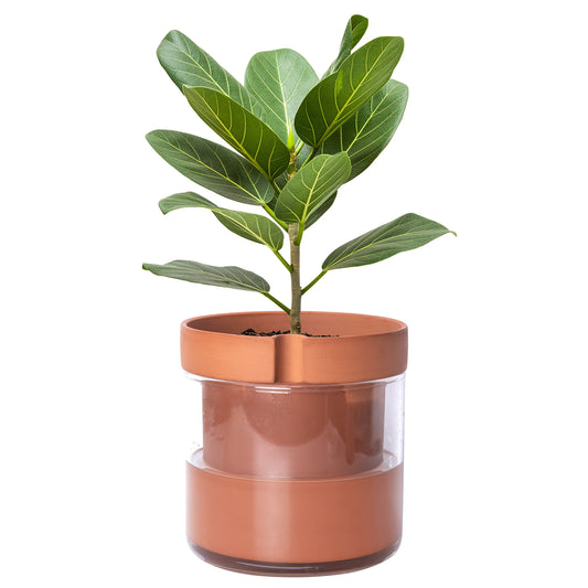 Phoenix Vine 8 Inch Self Watering Planter Pot, Terracotta Clay Pot with Glass Reservoir for Indoor Plants, Herbs, Flowers, Set of 1, 52-A-H-1