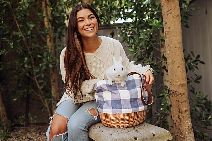 PICNIC TIME Coronado Canvas and Willow Basket Tote, Picnic Tote Bag, Beach Tote