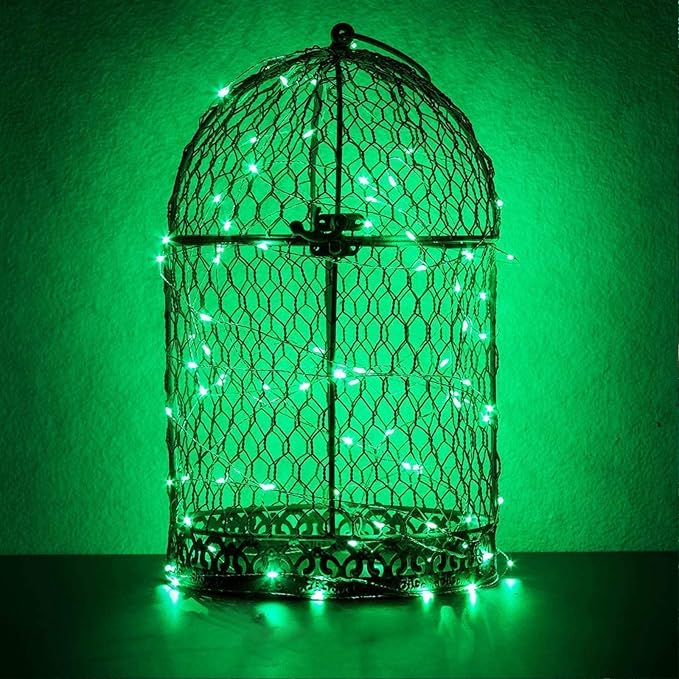 RUICHEN 20 Ft 120 LED USB Fairy String Lights with On/Off Switch, Waterproof Copper Wire Lights for Bedroom Wall Ceiling Wreath Christmas Halloween St. Patrick's Day, Green, 2 Pack