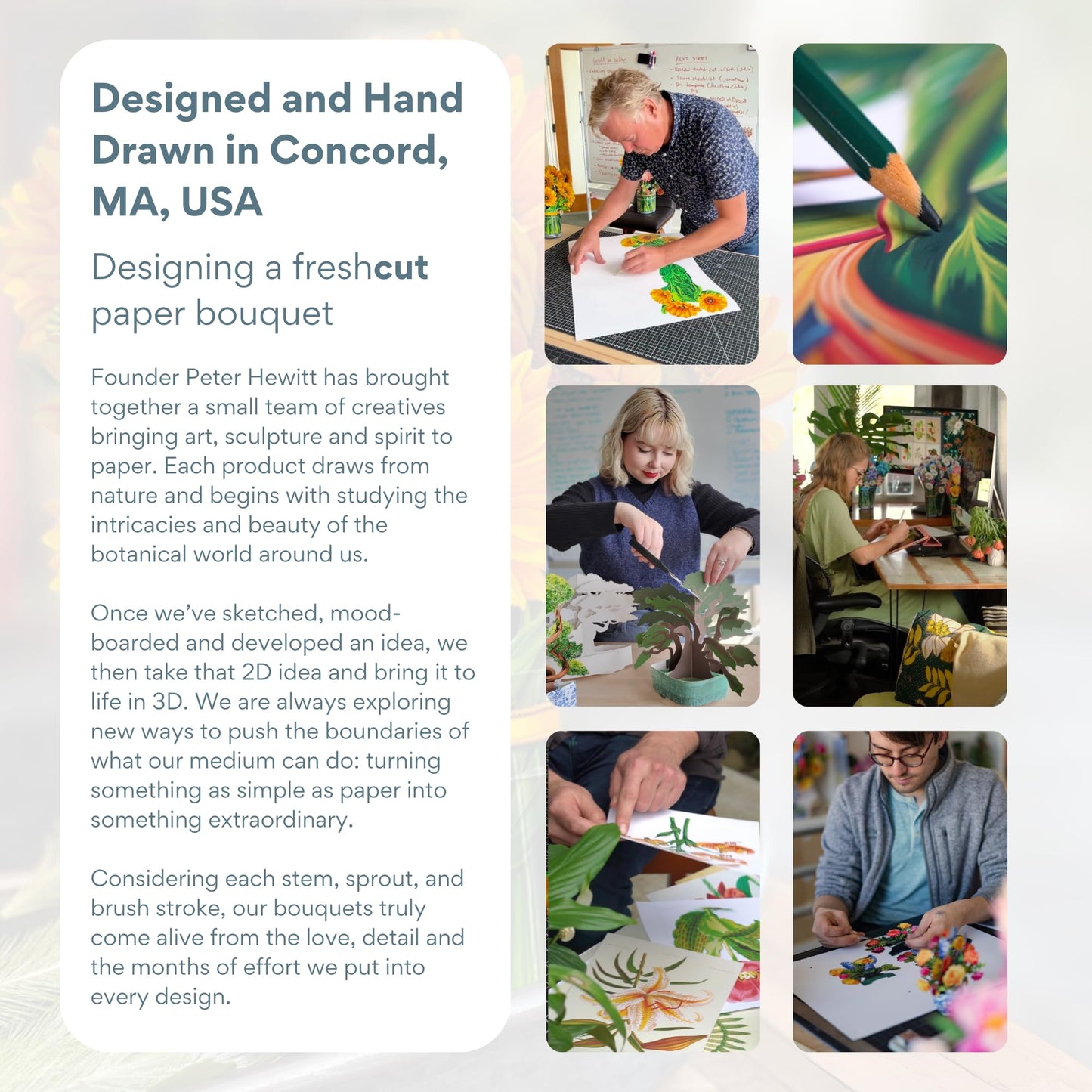 Freshcut Paper Pop Up Cards, Hummingbird Oasis, 12 Inch Life Sized Forever Flower Bouquet 3D Popup Greeting Card, Birthday Cards, Thank You Card, Blank Notecard & Envelope