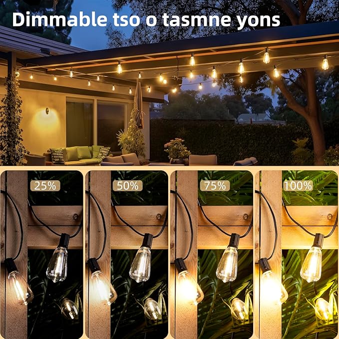 25FT Outdoor String Lights, ST38 Patio Lights with 10+2 LED Bulbs Shatterproof Energy Saving, Outside Hanging Globe Lights for Bistro Backyard Garden Pool Porch