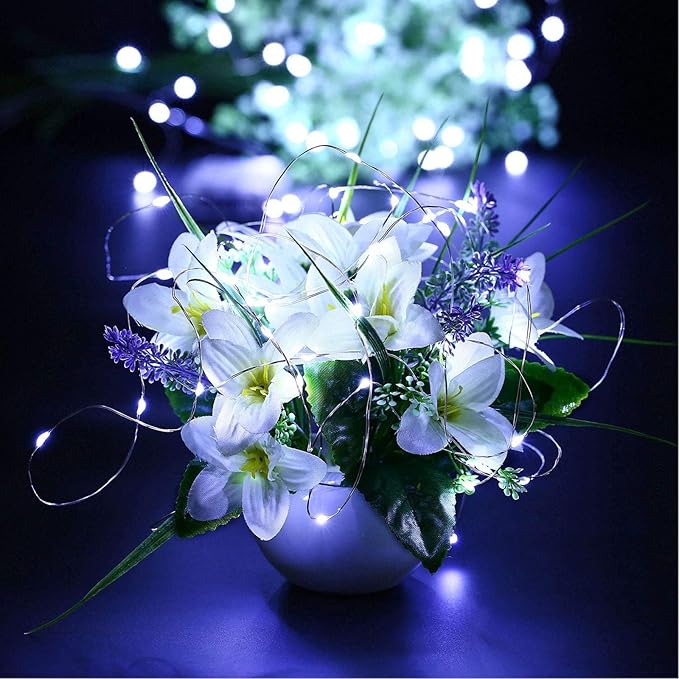 RUICHEN Plug in Fairy Lights with Switch, Waterproof 33 Ft 100 LED Silver Wire Starry String Firefly Lights for Christmas, Easter, National Day, Parties, Wedding, Vases, Craft, Cool White