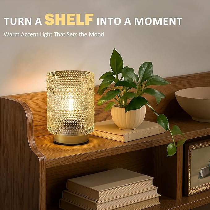 Small Battery operated Lamp with Timer for Bedside/Coffee Table/Book shelf Decor,Cordless Aesthetic Lamps with Warm Moody Lighting for Home Decor/Dorm/Entryway/Cubicle/Bathroom/ Patio Decor(Clear)