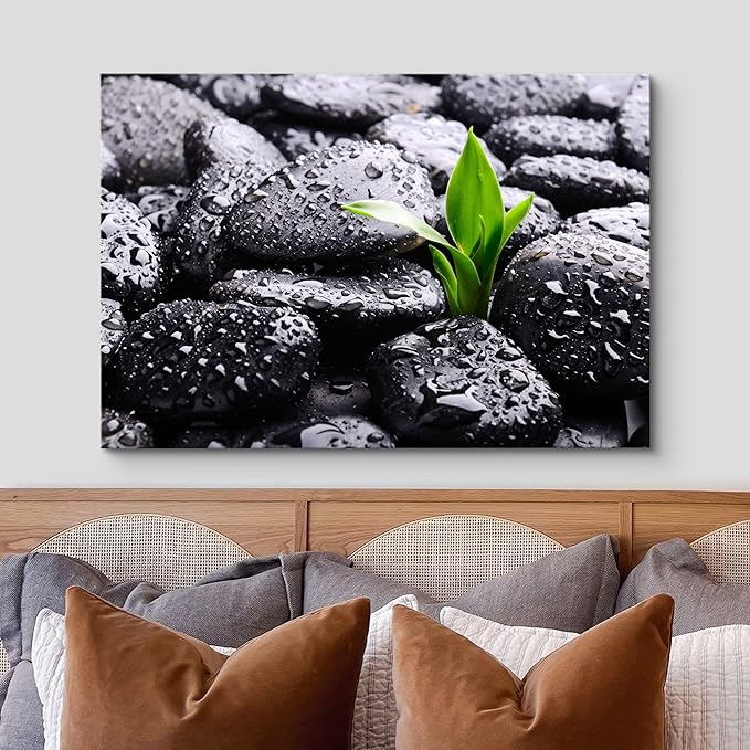 wall26 Canvas Print Wall Art Raindrops on Black Rocks with Sprouting Plant Floral Nature Photography Realism Bohemian Scenic Relax/Calm Cool for Living Room, Bedroom, Office - 16"x24"