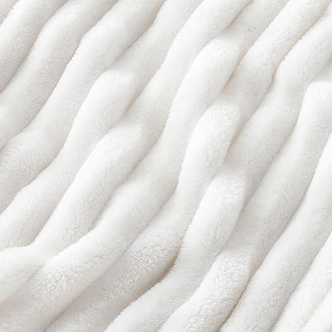 Bedsure GentleSoft Twin Blanket for Bed - Cozy Soft Blankets for Women, Cute Small Fleece Throws for Girls, Graduation Decorations Gift for Her Him School Dorm, Off White, 60x80 Inches