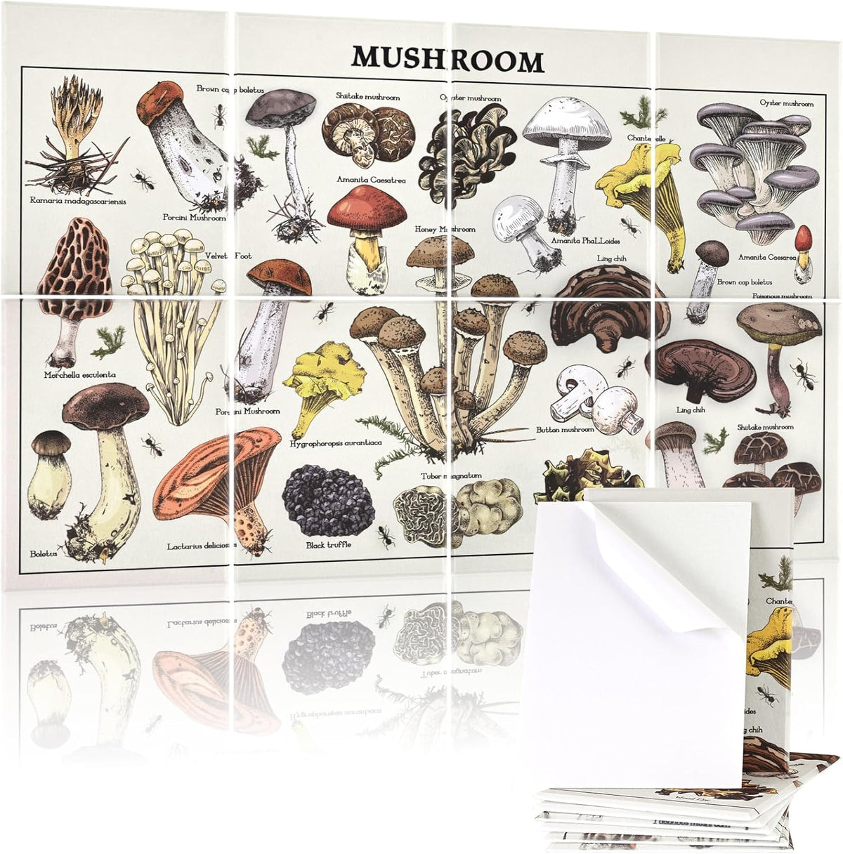 Art Acoustic Panels, 8 Pack 48"X32" Soundproof Wall Panels Self-adhesive Decorative Sound Absorbing Padding, Noise Dampening Canceling Reducing for Room Office (Mushroom)