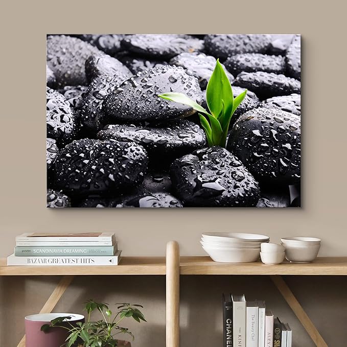 wall26 Canvas Print Wall Art Raindrops on Black Rocks with Sprouting Plant Floral Nature Photography Realism Bohemian Scenic Relax/Calm Cool for Living Room, Bedroom, Office - 16"x24"