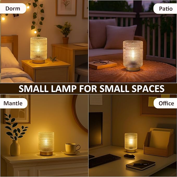 Small Battery operated Lamp with Timer for Bedside/Coffee Table/Book shelf Decor,Cordless Aesthetic Lamps with Warm Moody Lighting for Home Decor/Dorm/Entryway/Cubicle/Bathroom/ Patio Decor(Clear)