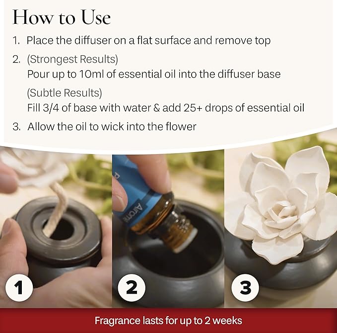 Airomé White Succulent, Porcelain Passive Essential Oil Diffuser (with 15ml Peppermint Essential Oil) – Non-Electric, Battery-Free, Improves Sleep, and Relieves Stress