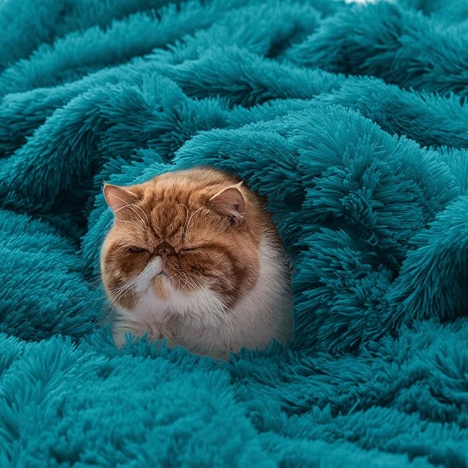 Bedsure GentleSoft Fluffy Turquoise Teal Blankets Queen Size for Bed, Thick Sherpa Faux Fur Fleece Fuzzy Plush Winter Warm Soft Full Queen Blankets, Bedroom Teal Decor Cozy Gifts for Women Men, 90x90