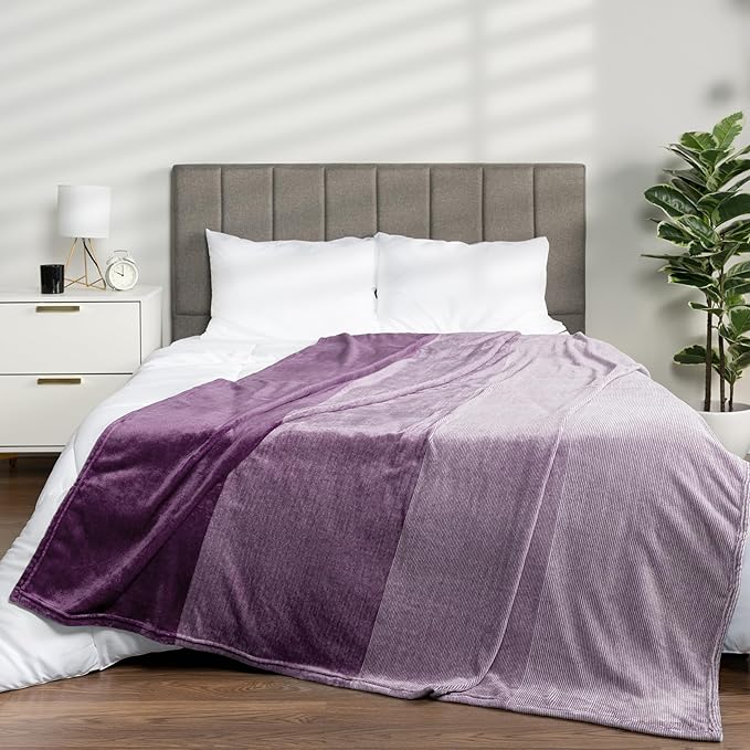 PAVILIA Purple Ombre Fleece Throw Blanket for Couch, Soft Flannel Blanket for Sofa Bed Room, Plush Lightweight Light Lavender Lilac Gradient Blanket, Cozy Microfiber Decorative Gift Throw, 50x60